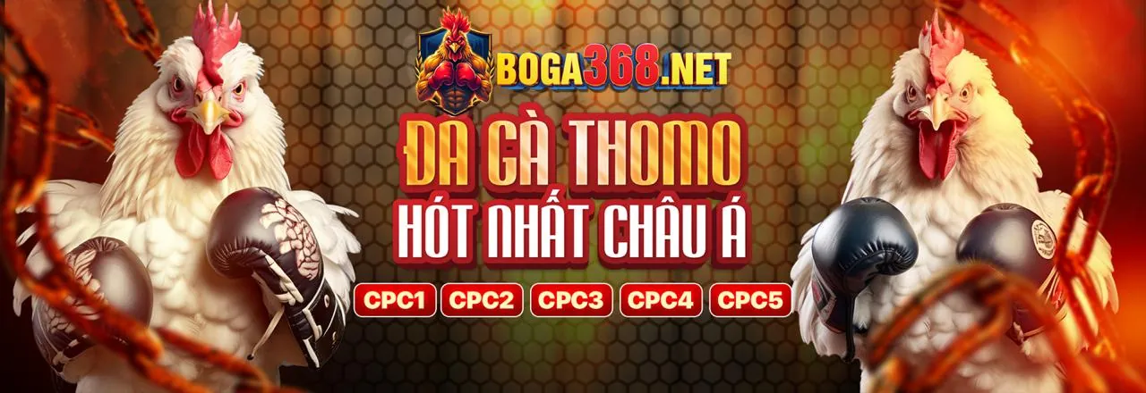 Sân chơi uy tín an toàn Sclub88